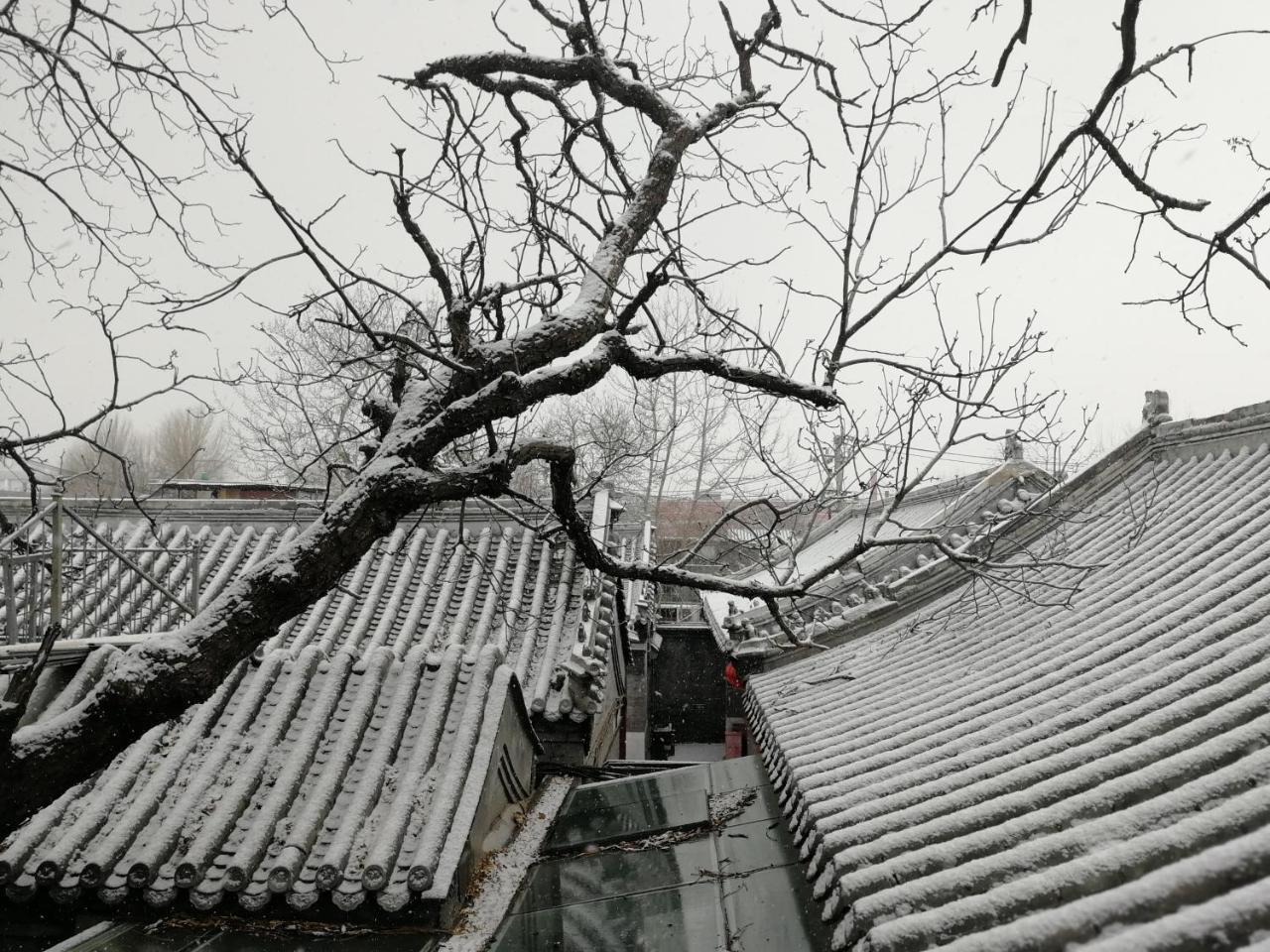Beijing Fly By Knight Courtyard Hotell Exteriör bild